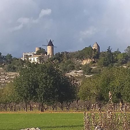 Villa Beatrice Sencelles Exterior foto